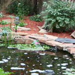 Portfolio 5: Landscaping & Patios